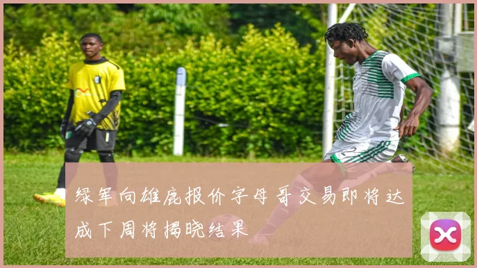 绿军向雄鹿报价字母哥交易即将达成下周将揭晓结果